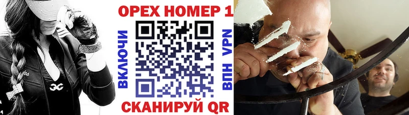 ссылка на мегу вход  сколько стоит  Ельня  Кокаин Fish Scale 