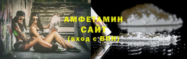 крисы Баксан