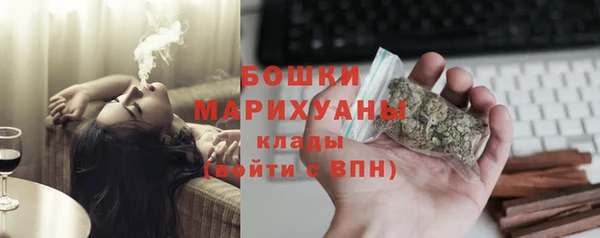 шишки Аркадак