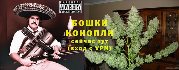 шишки Аркадак