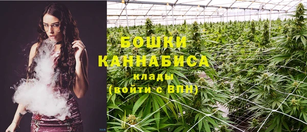 твердый Арсеньев