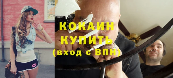 крисы Баксан