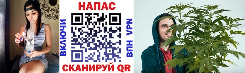 omg вход  Ельня  Канабис индика 